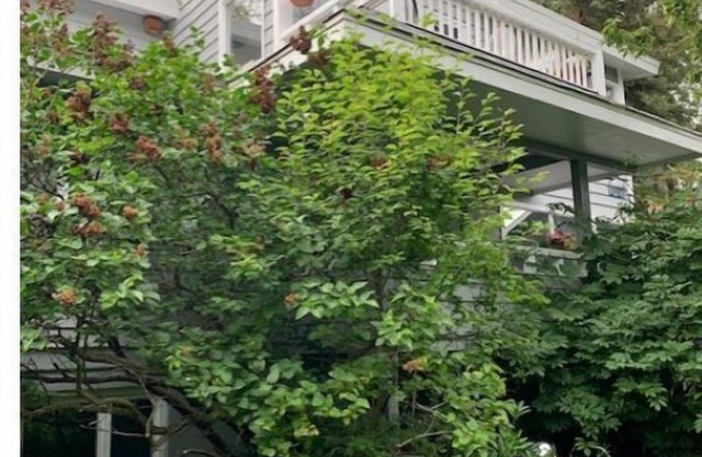 Historic Downtown 2BR large Apt near Ocean