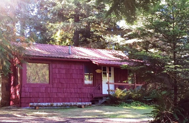 Historic Family Cabin 30 seconds from Mt. Rainier