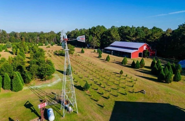 Historic FarmHouse with Goats & Glass Blowing