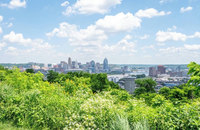 Historic Park Hills Cottage – Walk to Devou Park, 10 Min to Downtown Cincinnati