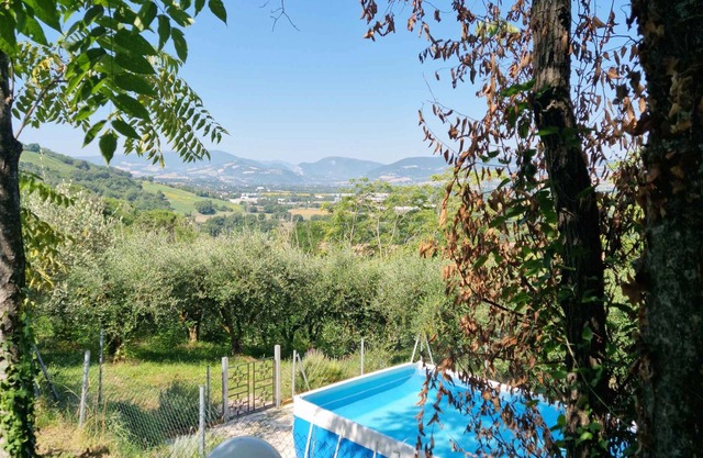 Casa vacacional con barbacoa y piscina, en parte rodeado por un olivar