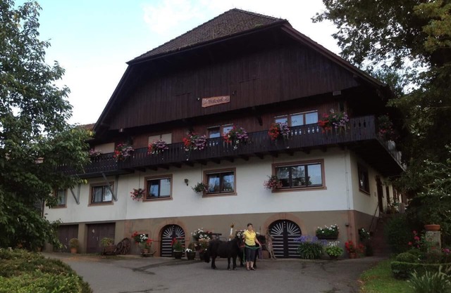Apartamento de vacaciones Zell am Harmersbach para 1 - 5 personas con 2 dormitorios - Apartamento