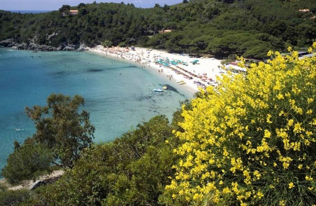 Apartamento de vacaciones Campo Nell'Elba para 1 - 4 personas con 1 dormitorio - Apartamento