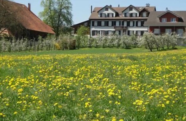 Apartamento de vacaciones Kümmertshausen para 4 - 8 personas con 3 dormitorios - Apartamento en casa