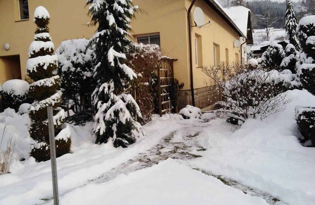 Holiday apartment Apartment Fischer
