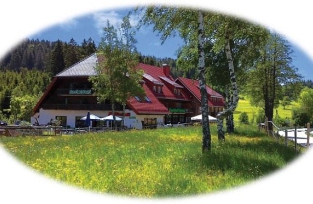 holiday apartment/apt. for 6 guests with 110m² in Breitnau (164909)