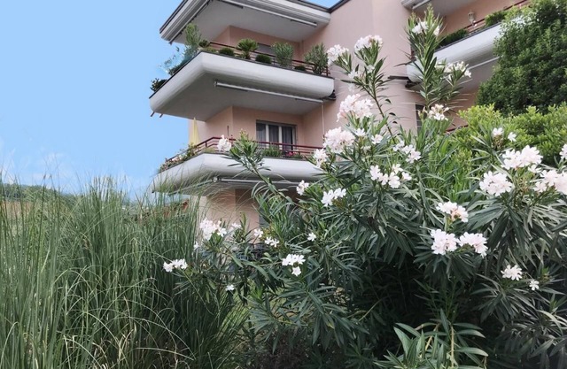 Apartamento de vacaciones Caslano para 1 - 4 personas con 2 dormitorios - Apartamento