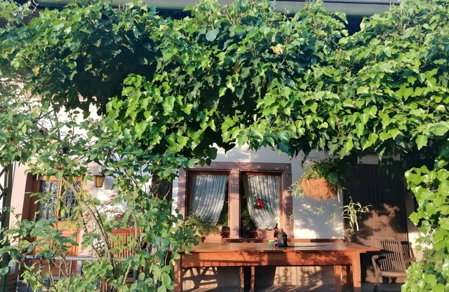Holiday Apartment Cherry Blossom