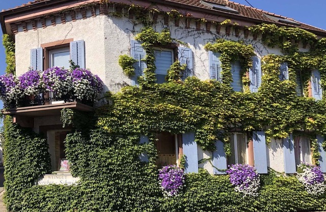 Apartamento en Oberrotweil