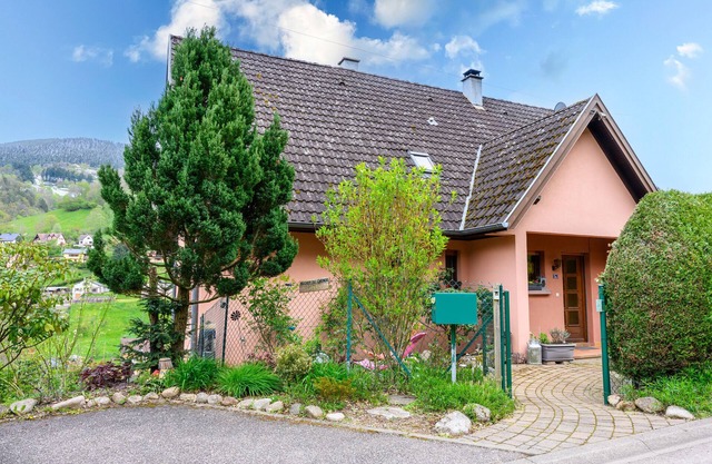 "Gîte En Montagne Vosges Alsaciennes" con vistas a la montaña, terraza compartida y Wi-Fi
