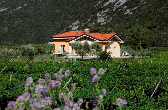 Apartamento vacacional en una zona tranquila y soleada en medio de viñas