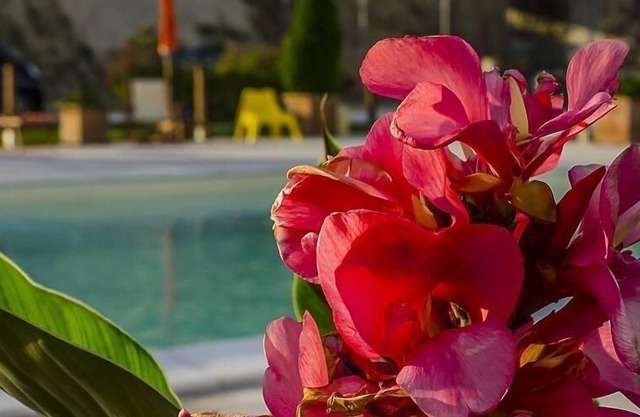 Apartamento de vacaciones San Costanzo para 1 - 5 personas con 3 dormitorios - Casa pareada
