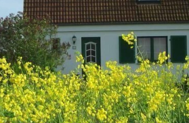 Apartamento de vacaciones Lüdershagen para 1 - 4 personas con 1 dormitorio - Apartamento