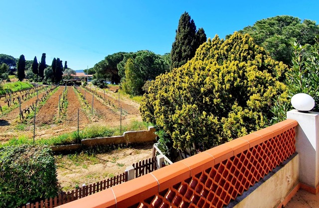 Holiday Apartment Appartamento La Scogliera with Sea View, A/C & Terrace; Parking Available