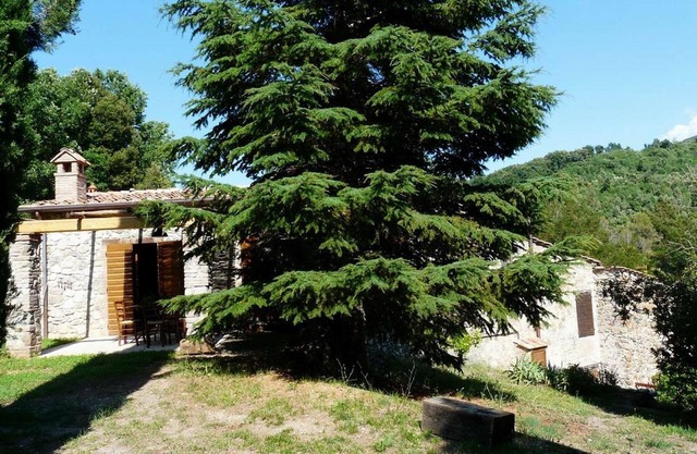 Apartamento de vacaciones Pomaia para 1 - 7 personas con 3 dormitorios - Apartamento