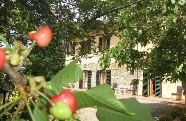 Apartamento de vacaciones Pomaia para 1 - 5 personas con 2 dormitorios - Casa rural