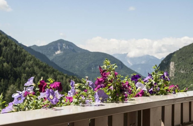 Apartamento vacacional "Wiesenheim - Cislon"