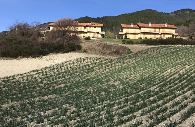 Apartamento vacacional "con panorama"