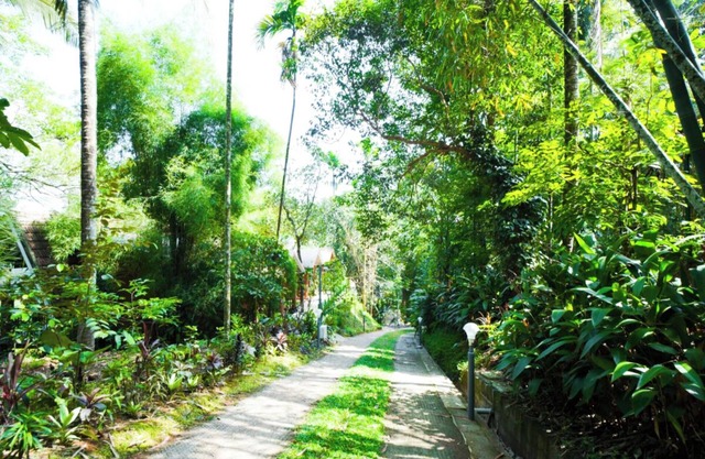 Holiday Courtyard