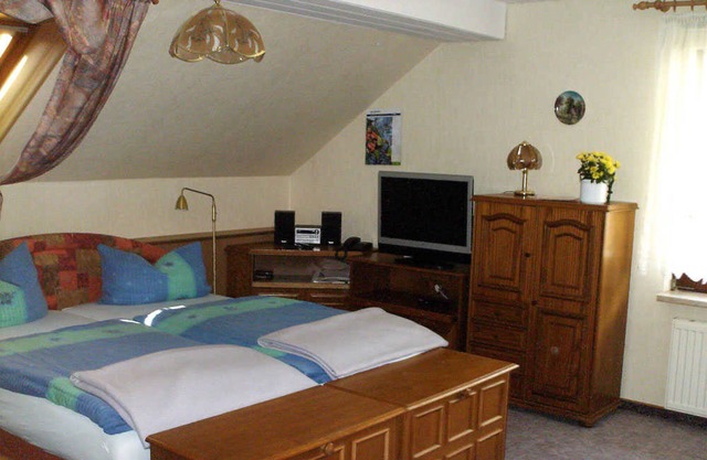 Holiday ERZ 097 - guesthouse Baerenstein ERZ 090