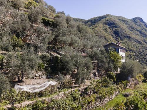 Holiday Home Ca de Isodor by Interhome