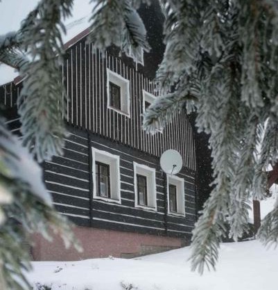 Holiday home in Jestrabi v Krkonosich 2207