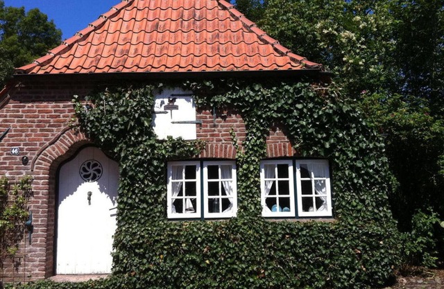Casa de vacaciones Doctor Hus