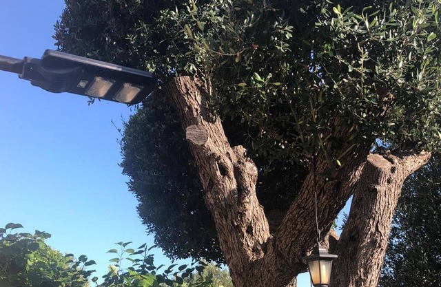 Casa de vacaciones 'Il Vicolo Casa Vacanze - Ulivo' con vistas al mar, Wi-Fi y aire acondicionado
