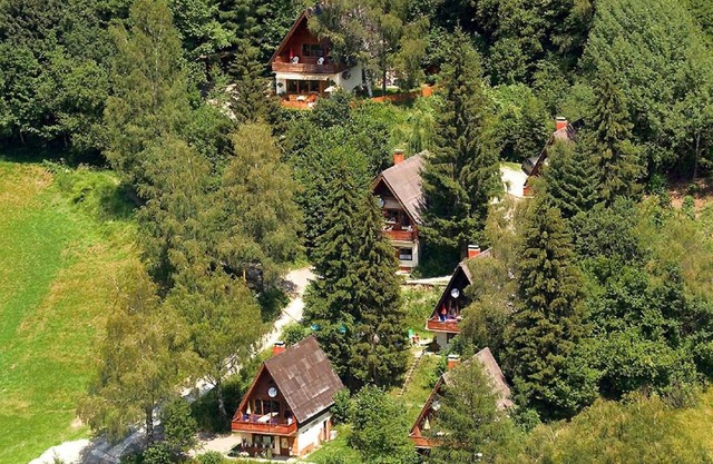 Holiday home in Jenig Carinthia with pool
