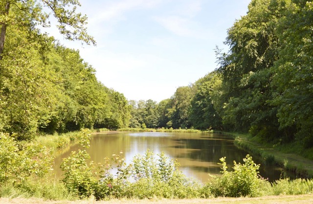 Casa de campo de calidad aislada frente a 2 lagos privados en la naturaleza