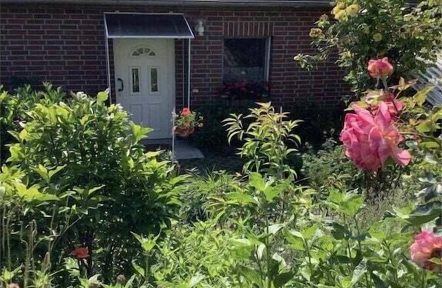 Holiday home in Rügeband with swimming pool