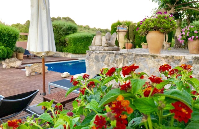 Holiday Home 'Lodge Buena Vista' with Mountain View, Pool & Wi-Fi