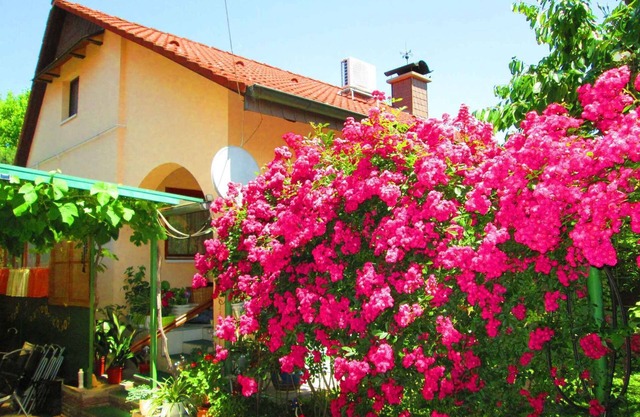 Casa vacacional con terraza y barbacoa