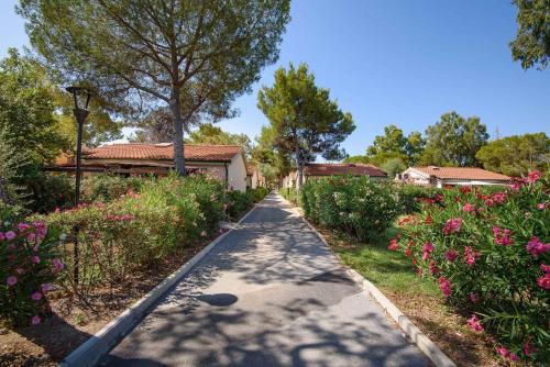 Holiday Homes in Piombino - Toskana 42359