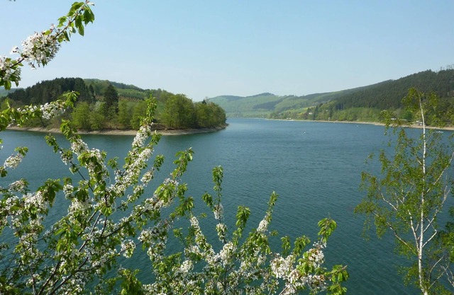 Casa de vacaciones Diemelsee para 1 - 5 personas con 3 dormitorios - Casa de vacaciones