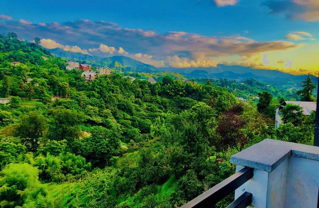 Holiday House Green Cape Batumi