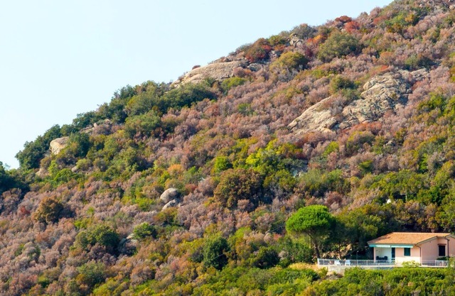 Casa de vacaciones Portoferraio para 1 - 5 personas con 2 dormitorios - Casa de vacaciones