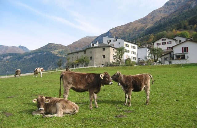 Casa de vacaciones San Carlo para 2 - 12 personas con 3 dormitorios - Casa rural