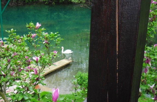 Casa de vacaciones "Sonja" en el río Mrežnica para unas vacaciones relajantes o activas