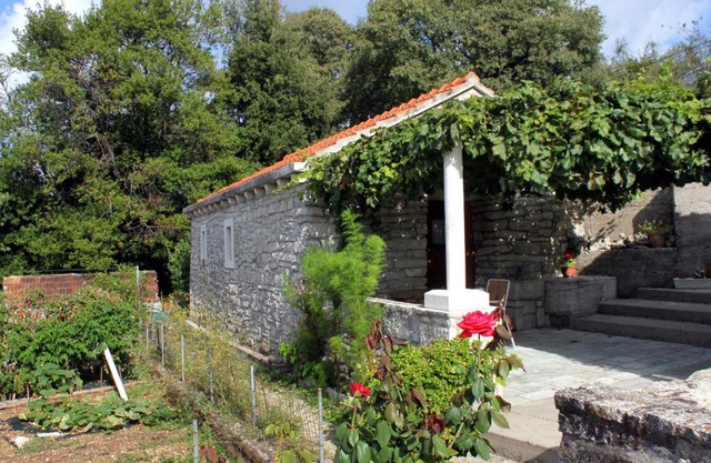 Holiday house with WiFi Zrnovo, Korcula - 4876