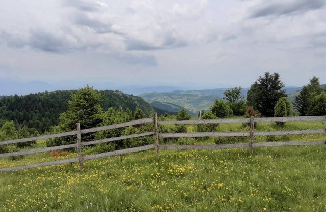 Vacaciones en el bosque con hermosas vistas de la ciudad de Sarajevo