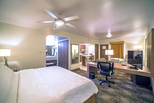 Holiday Inn & Suites Chihuahua Expo by IHG