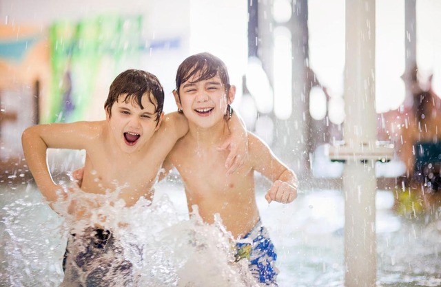 Holiday Inn Windsor - Ambassador Bridge by IHG