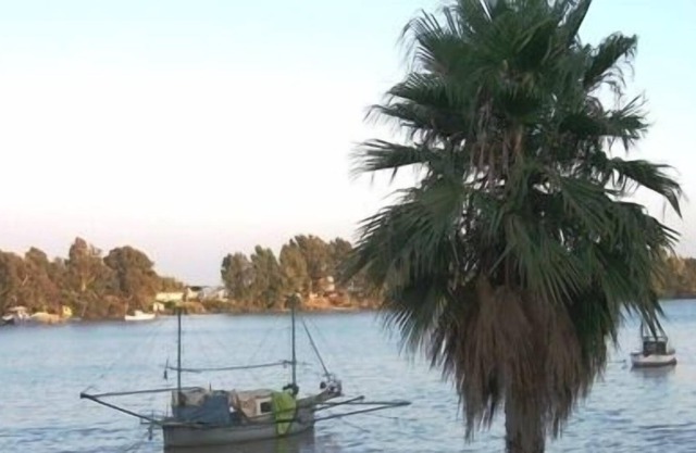 Vacaciones en Sevilla (Andalucía)