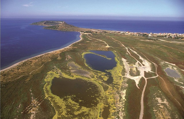 vacaciones en las playas de Tharros