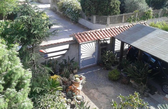 Home & Garden