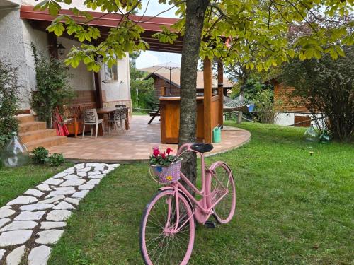 Home & Garden