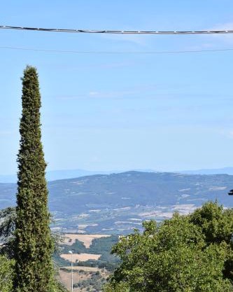 HOME L'UPUPA AMIATA
