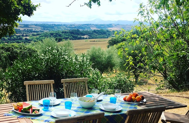 Home set in olive grove