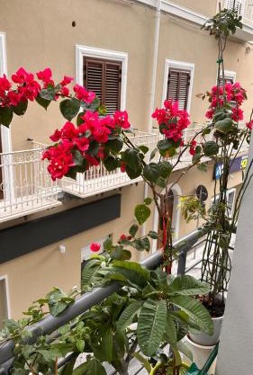 Home Sicilia